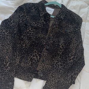Cheetah jacket